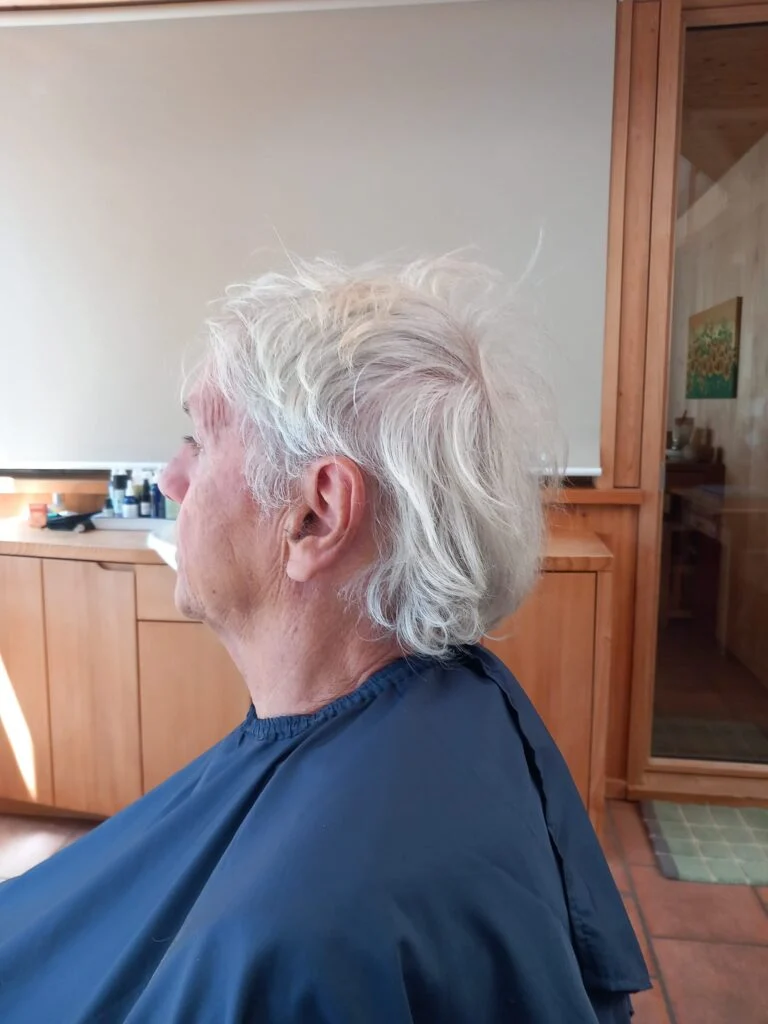 Vor dem Hairbalancing – J. L.
